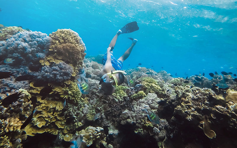 One Day Trip Nain Sialden Bunaken1