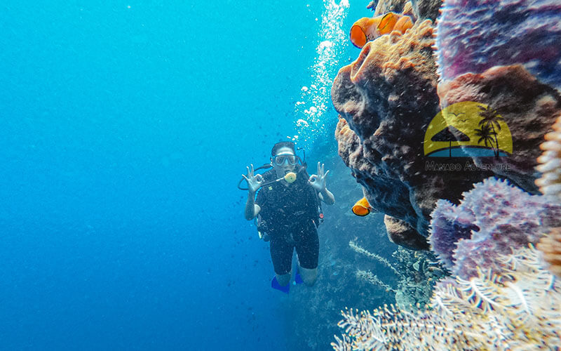 Diving di Bunaken